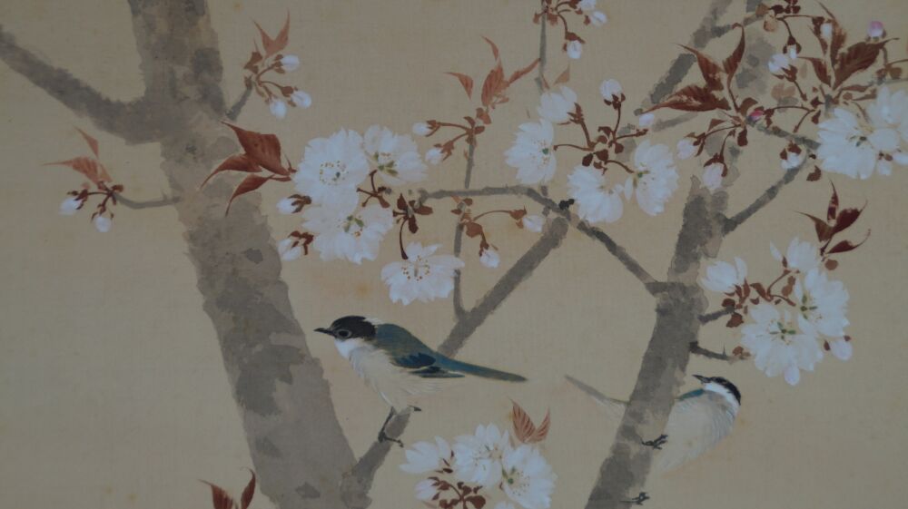 Close-up of two birds on the blooming cherry tree in the hanging scroll Spring at the Old Cherry Blossom