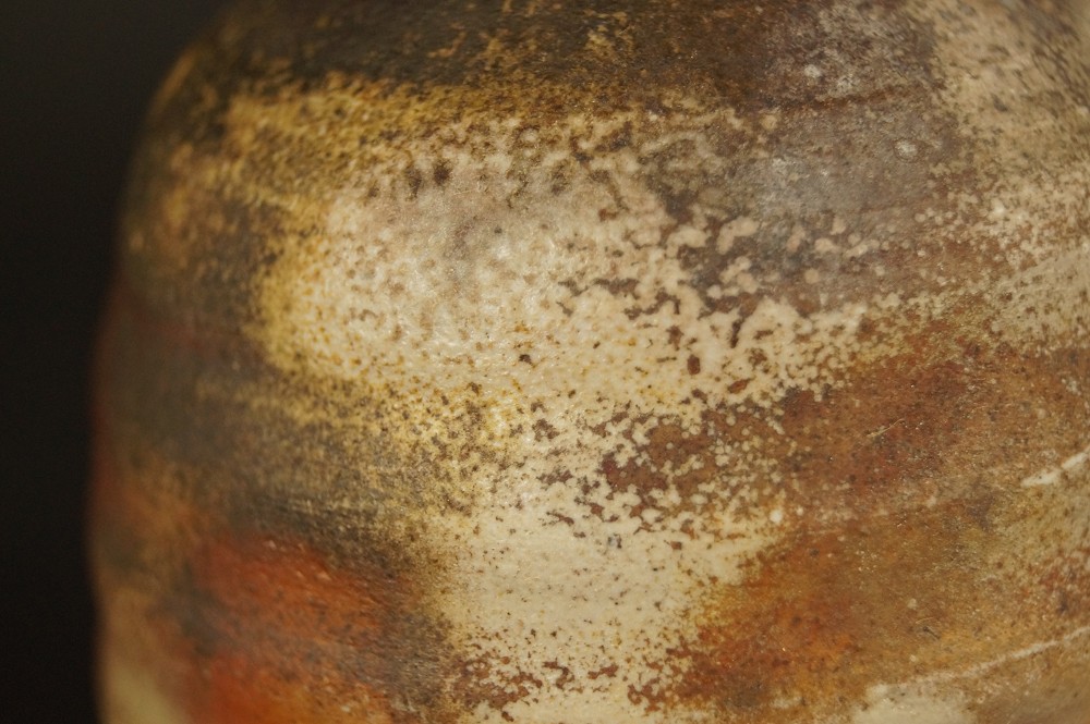 Bizen Tokkuri Motif Close-Up