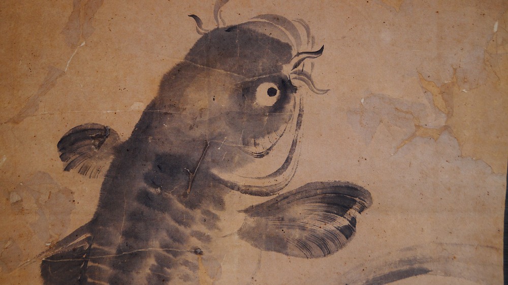 Further close-up of the carp's head with barbels and watchful eye