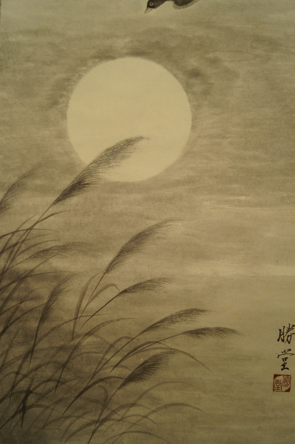 Wilde Gaense Vollmond Nahaufnahme
