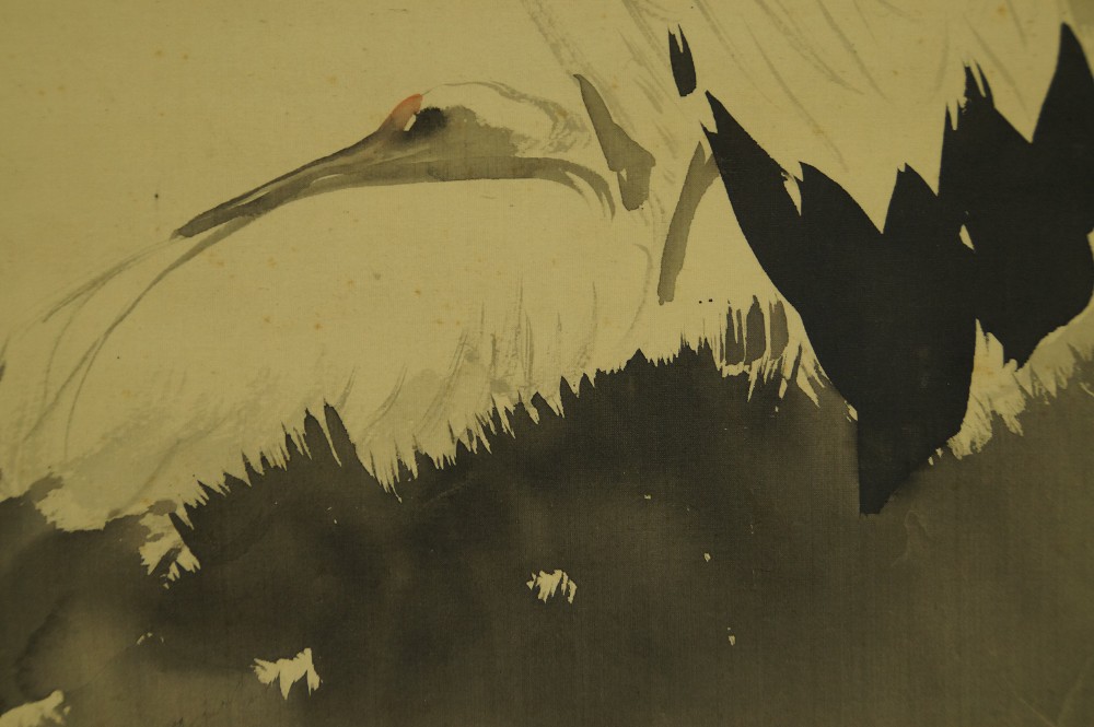 Close-up of the second crane with lowered head and black tail feathers