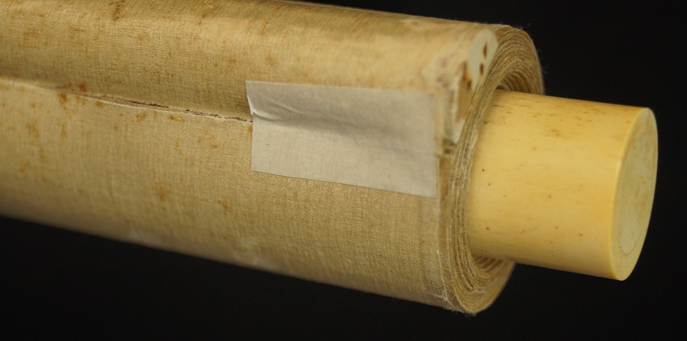 Parrot Hanging Scroll by Kaura Moriyama Scroll Detail