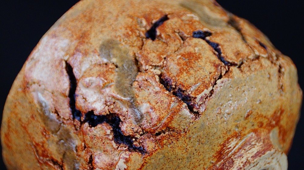 Further extreme close-up of the crackled ochre glaze of the chawan made of Seto ware by Takamichi Kato