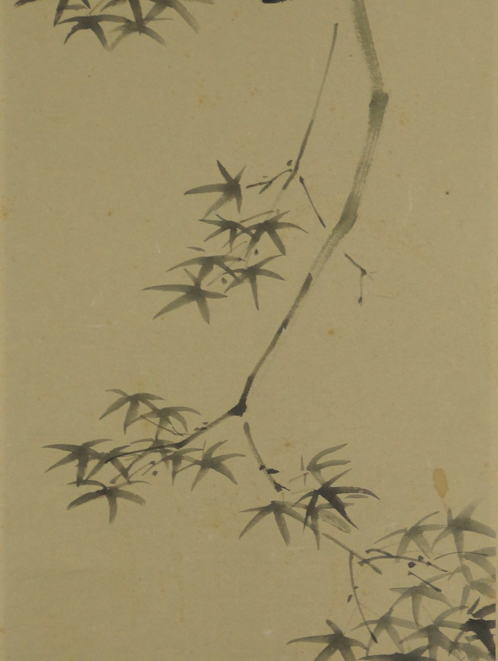 Sayori fish by Kawashima Tomiji bamboo motif close-up 1