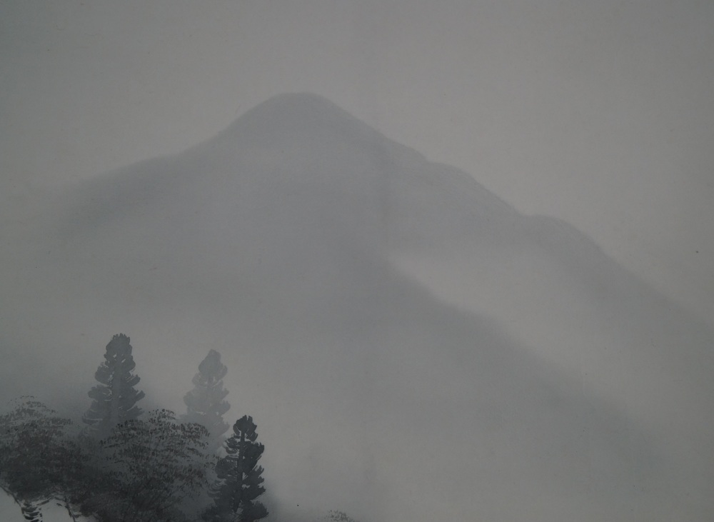 Nebellandschaft Berg im Nebel Nahaufnahme