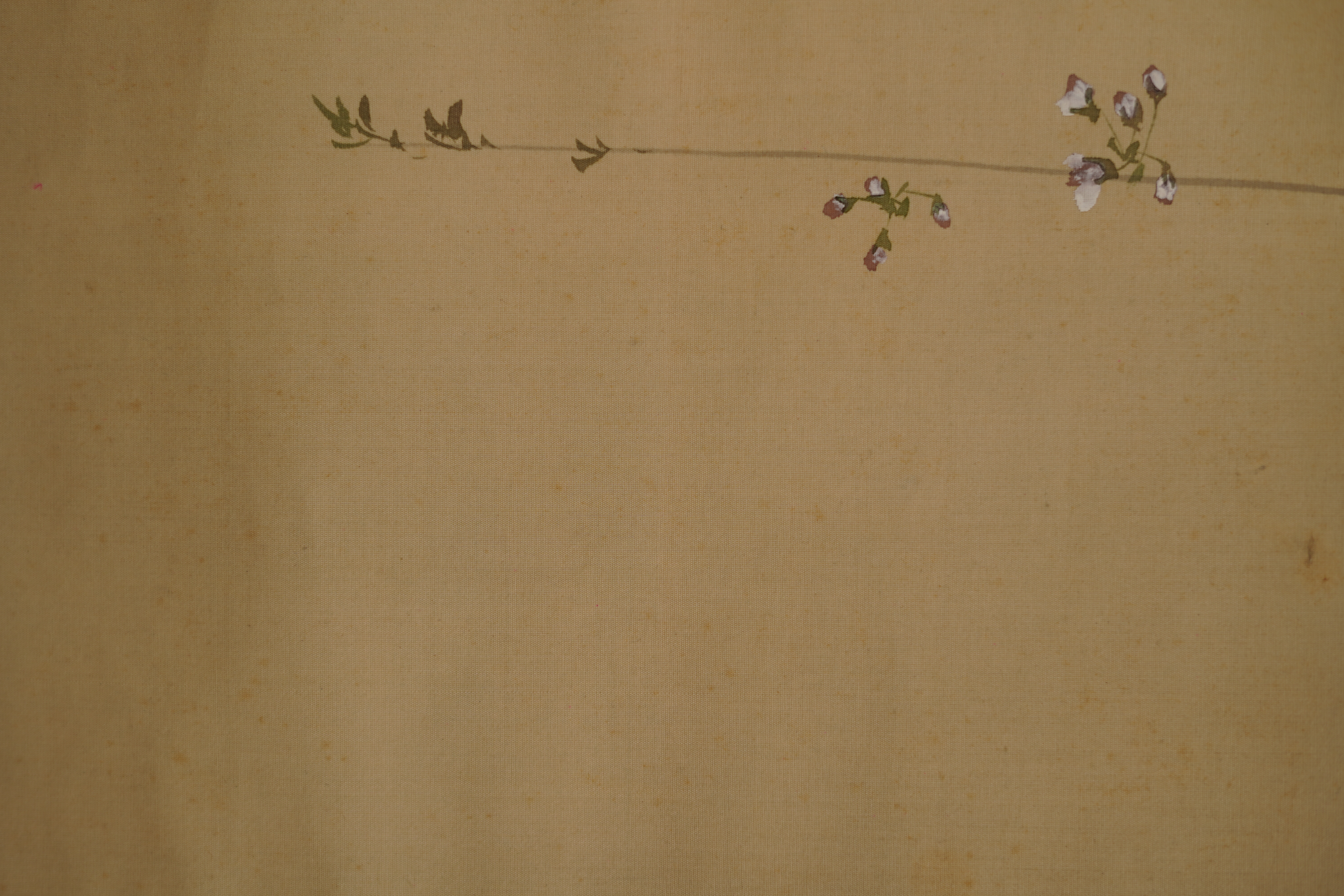 Further close-up of the thin blossom branch in the Kakemono Hanging Cherry Blossoms