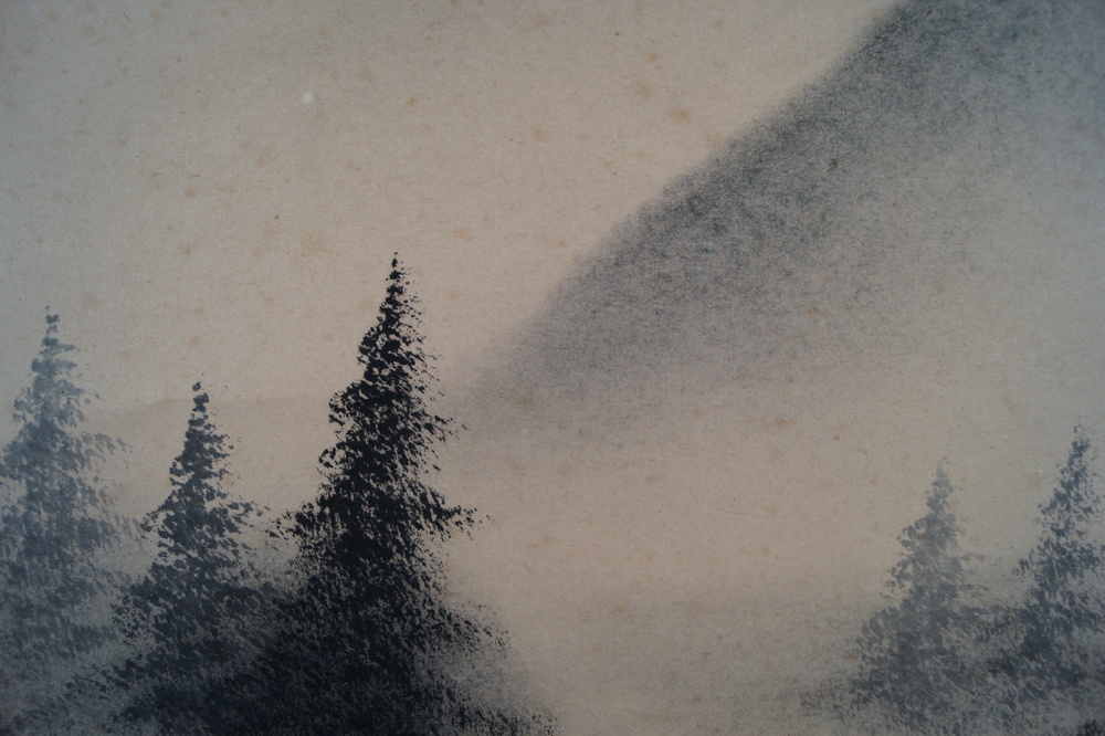 Landscape with Mountain Huts in the Fog Close-Up of the Fir Trees in the Fog Landscape Close-Up 4