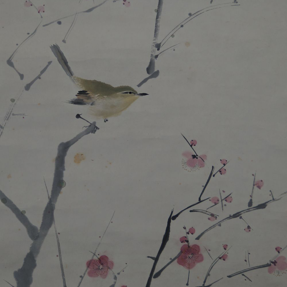 Close-Up of the Nightingale on a Branch among Pink Plum Blossoms in the Hanging Scroll Nightingale on Blossoming Plum Branch