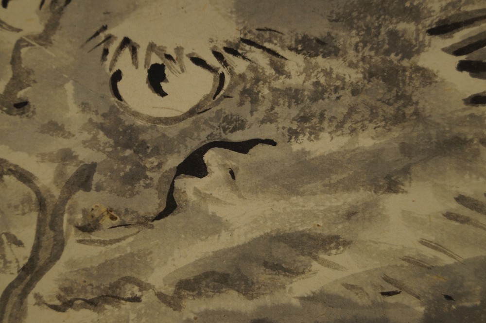 Brushwork Close-Up Eye of the Dragon