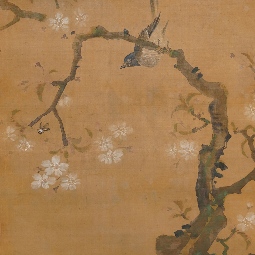 Further Close-Up of the Songbird Among the Cherry Blossoms in the Hanging Scroll Songbird on Blooming Cherry Branch