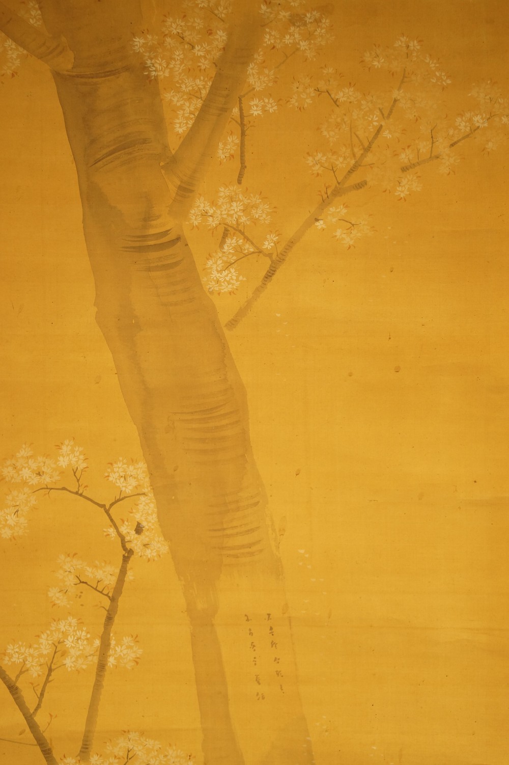 Samurai Warrior Under the Cherry Tree Cherry Tree Close-Up 1