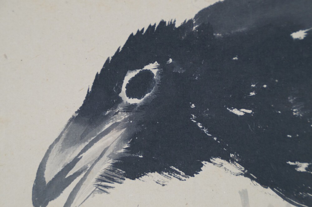 Extreme Close-Up of the Raven's Head with Its Striking Eye in the Hanging Scroll Raven on a Bare Branch by Watanabe Ando