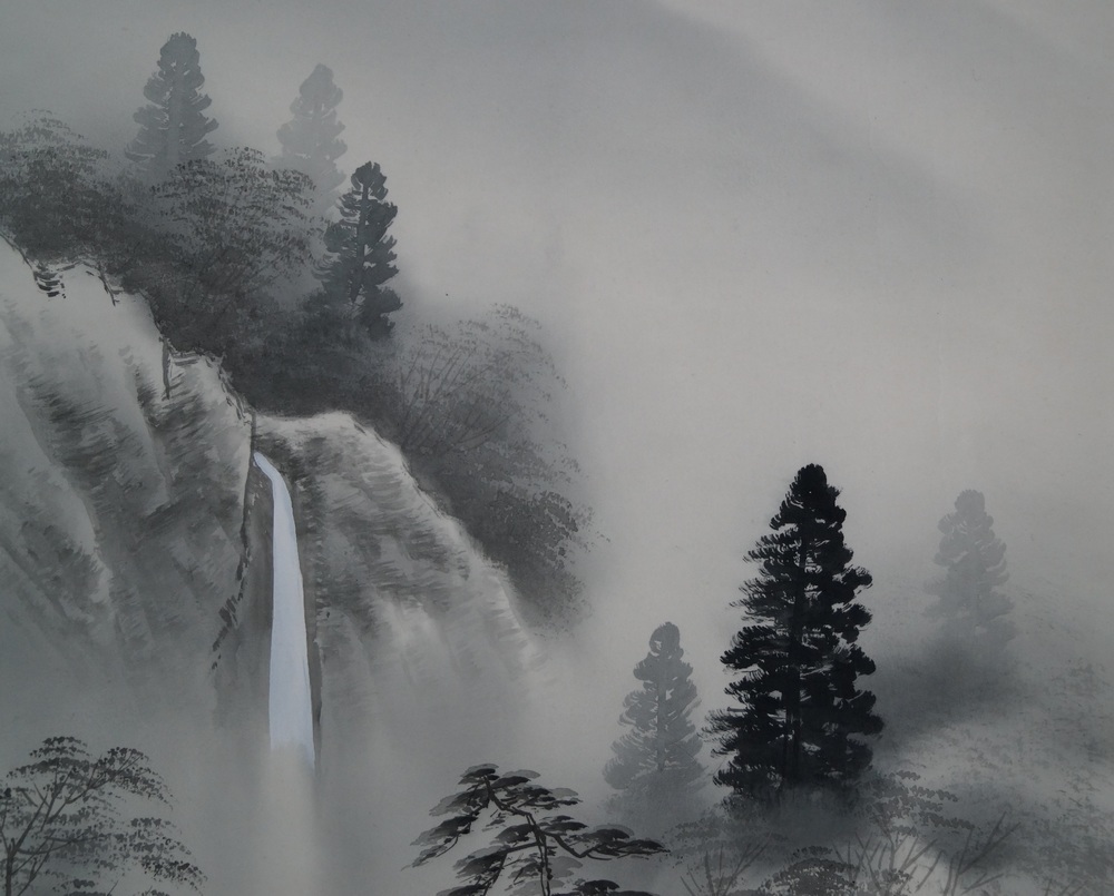 Nebellandschaft Wasserfall Nahaufnahme