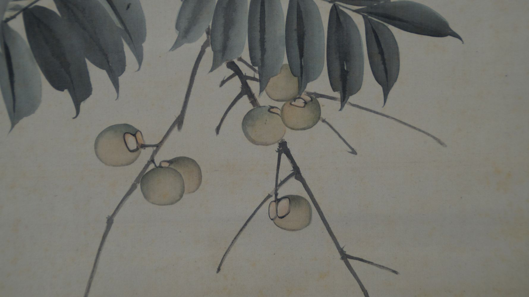 Further Close-Up of the Hanging Fruit of the Fruit Tree in the Kakemono Bird on Fruit Tree