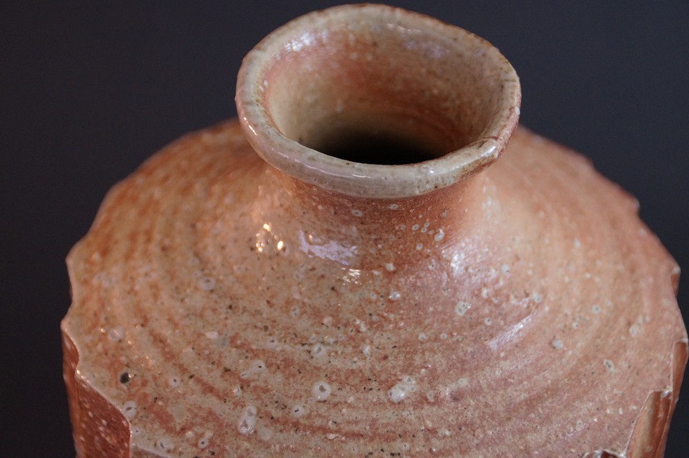 Shigaraki Vase by Takahashi Rakusai Neck View Close-Up