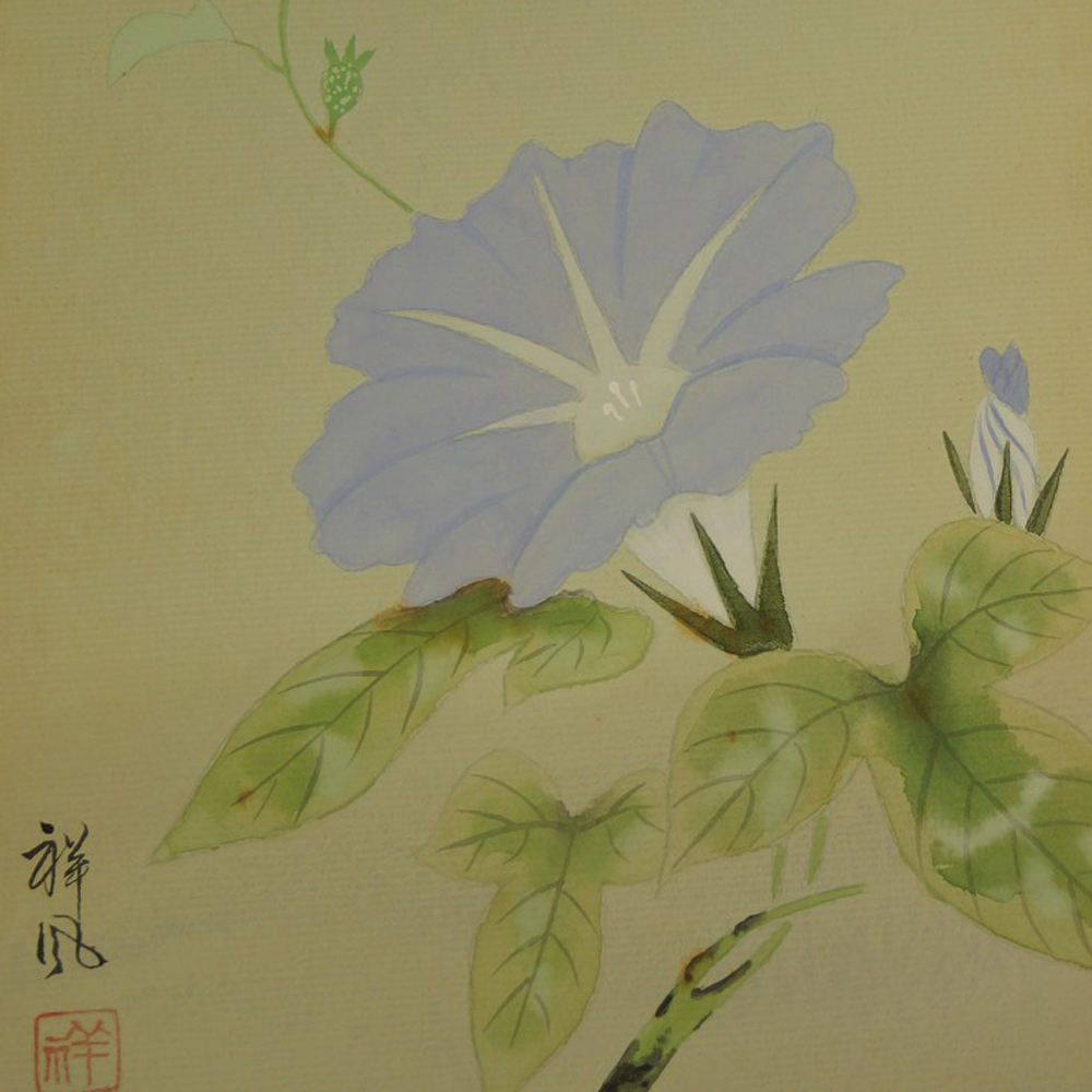 Shikishi - Blume