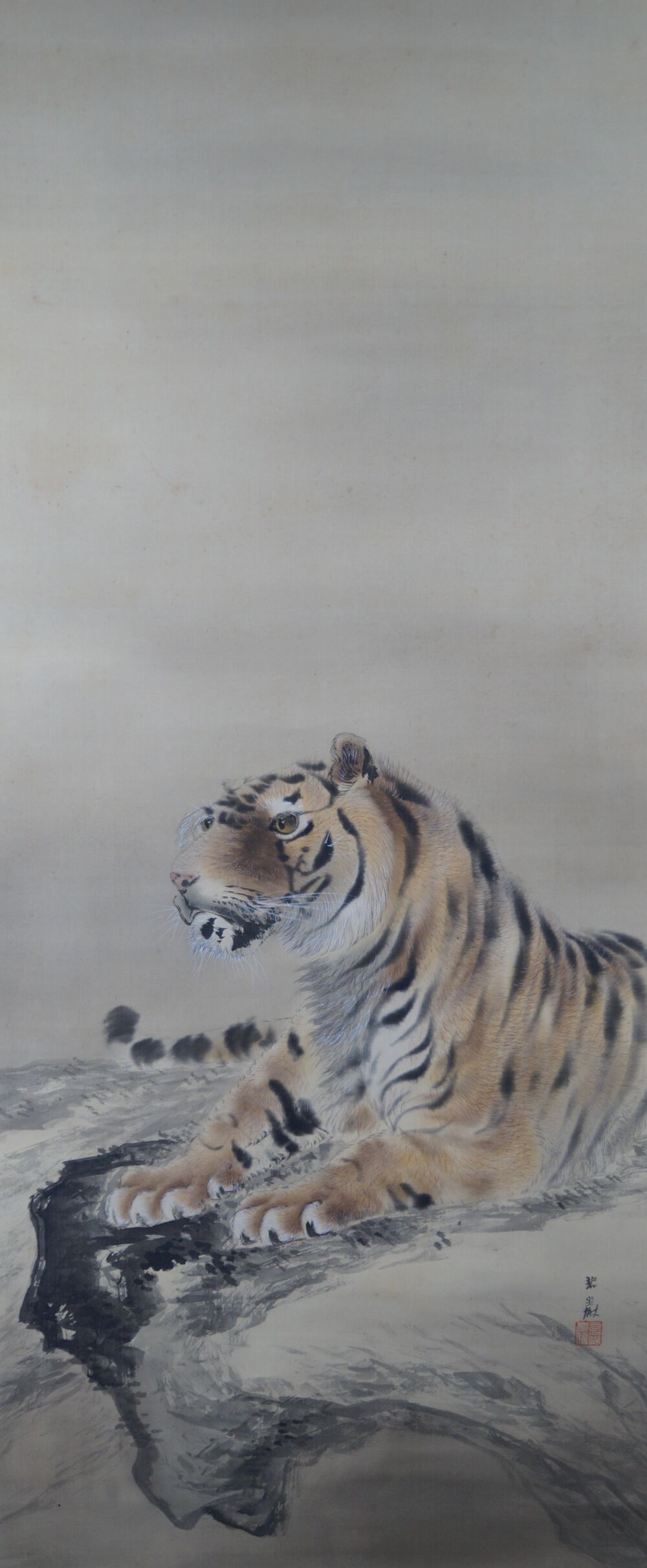 Another full view of the tiger on the rock, without mounting