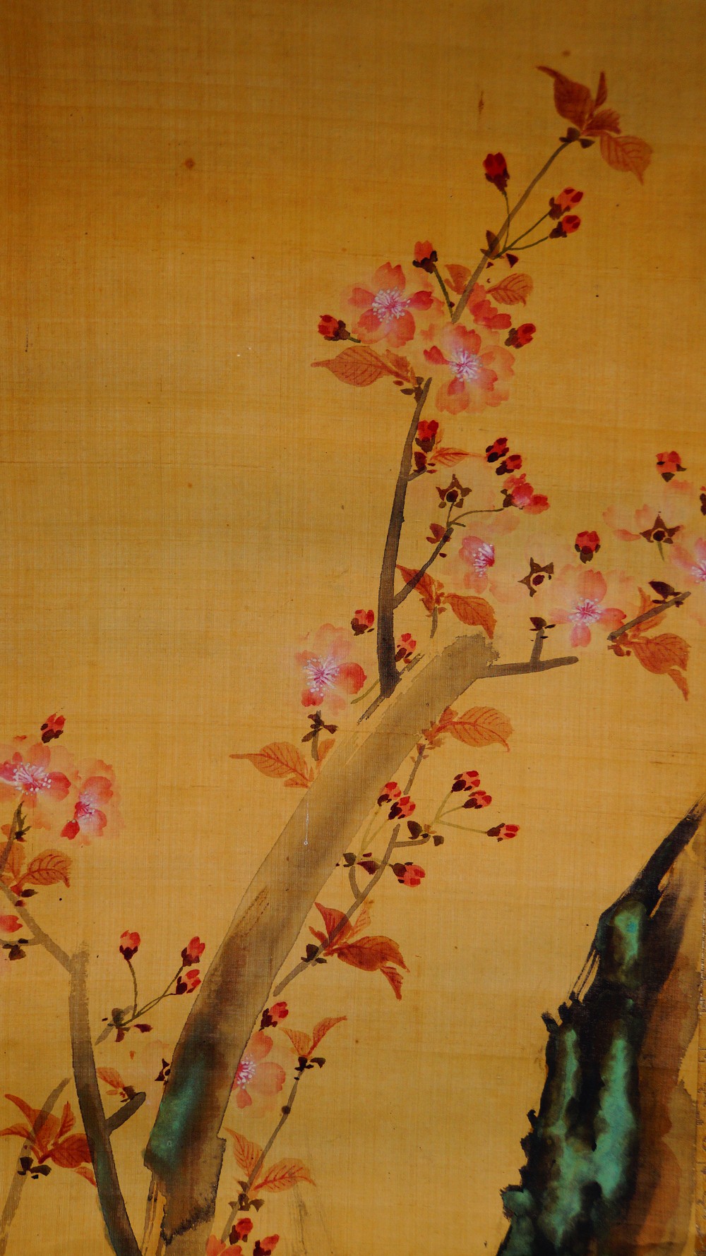 Blooming Cherry Branches on a Rock Hanging Scroll by Sakai Hoitsu Cherry Blossom Motif Close-Up