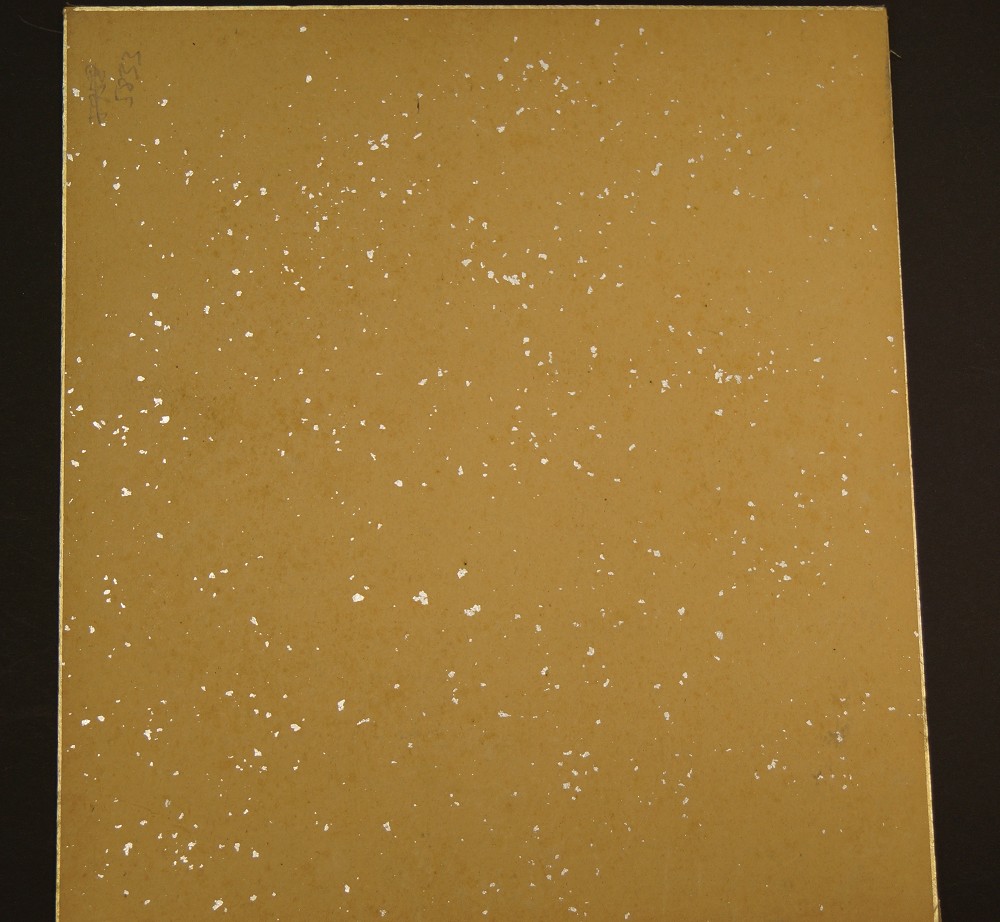 Shikishi Landschaft Rueckansicht
