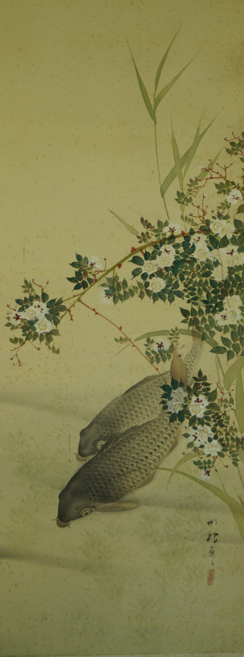 Two koi in water full motif without mounting