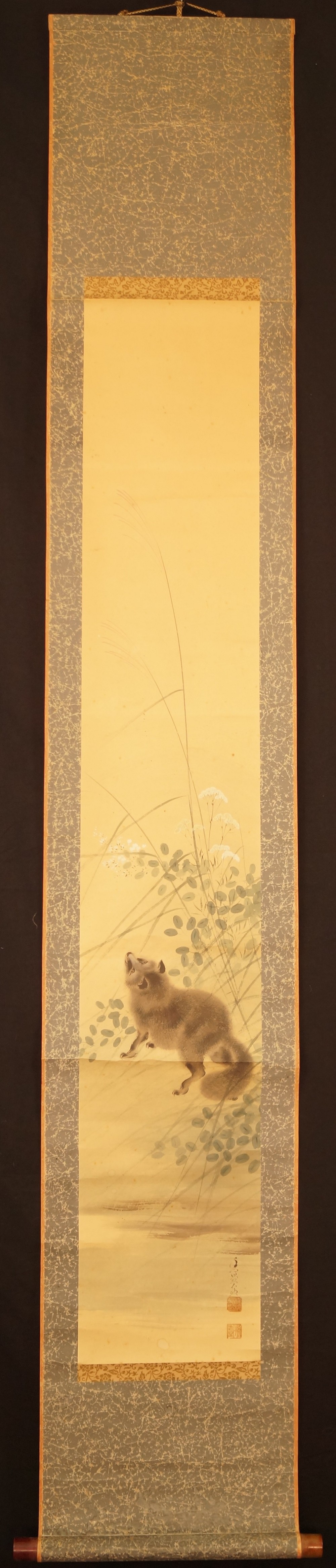 Raccoon Dog Full View Hanging Scroll