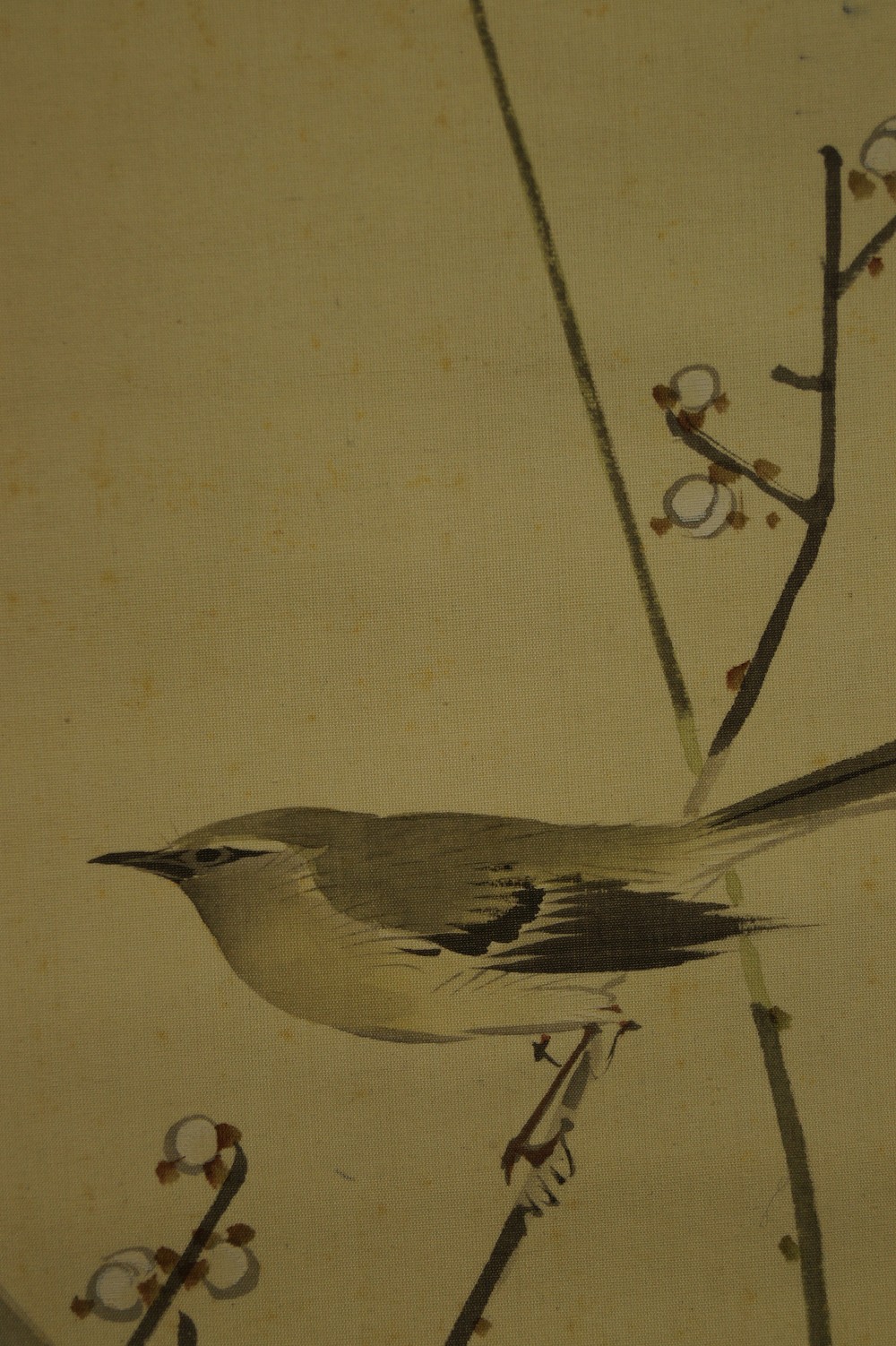 Sparrow and plum blossoms motif close-up 4