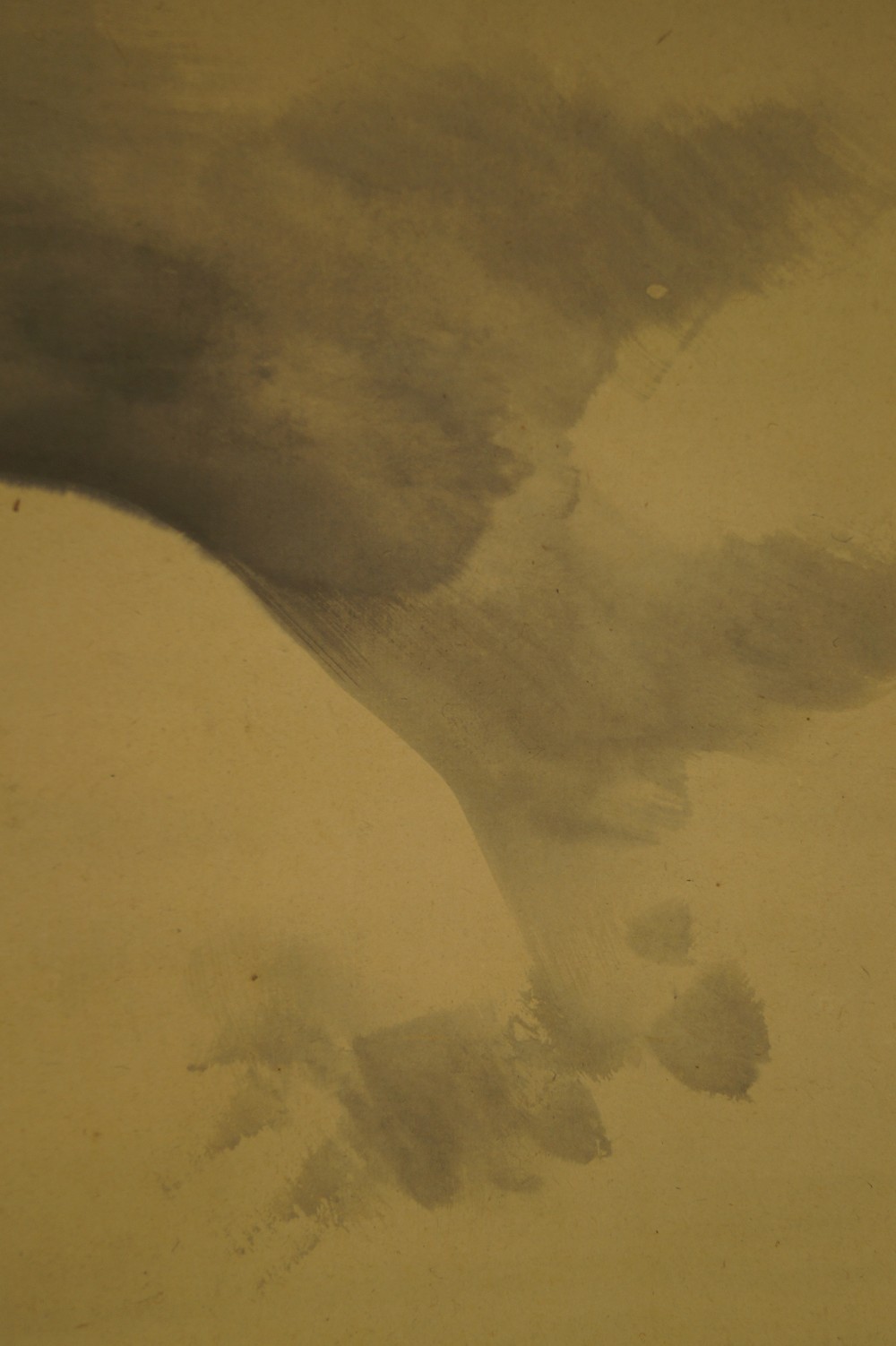 Landschaft Rollbild von Bunrin Shiokawa Nebel-Motiv Nahaufnahme 2