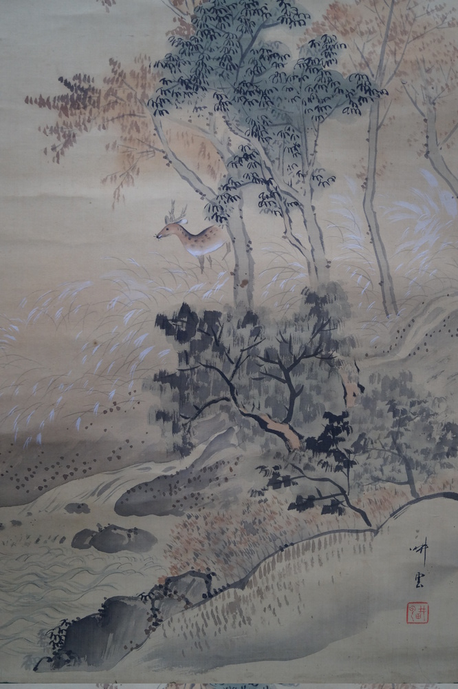 Makuri Small Deer Deer Close-Up 2