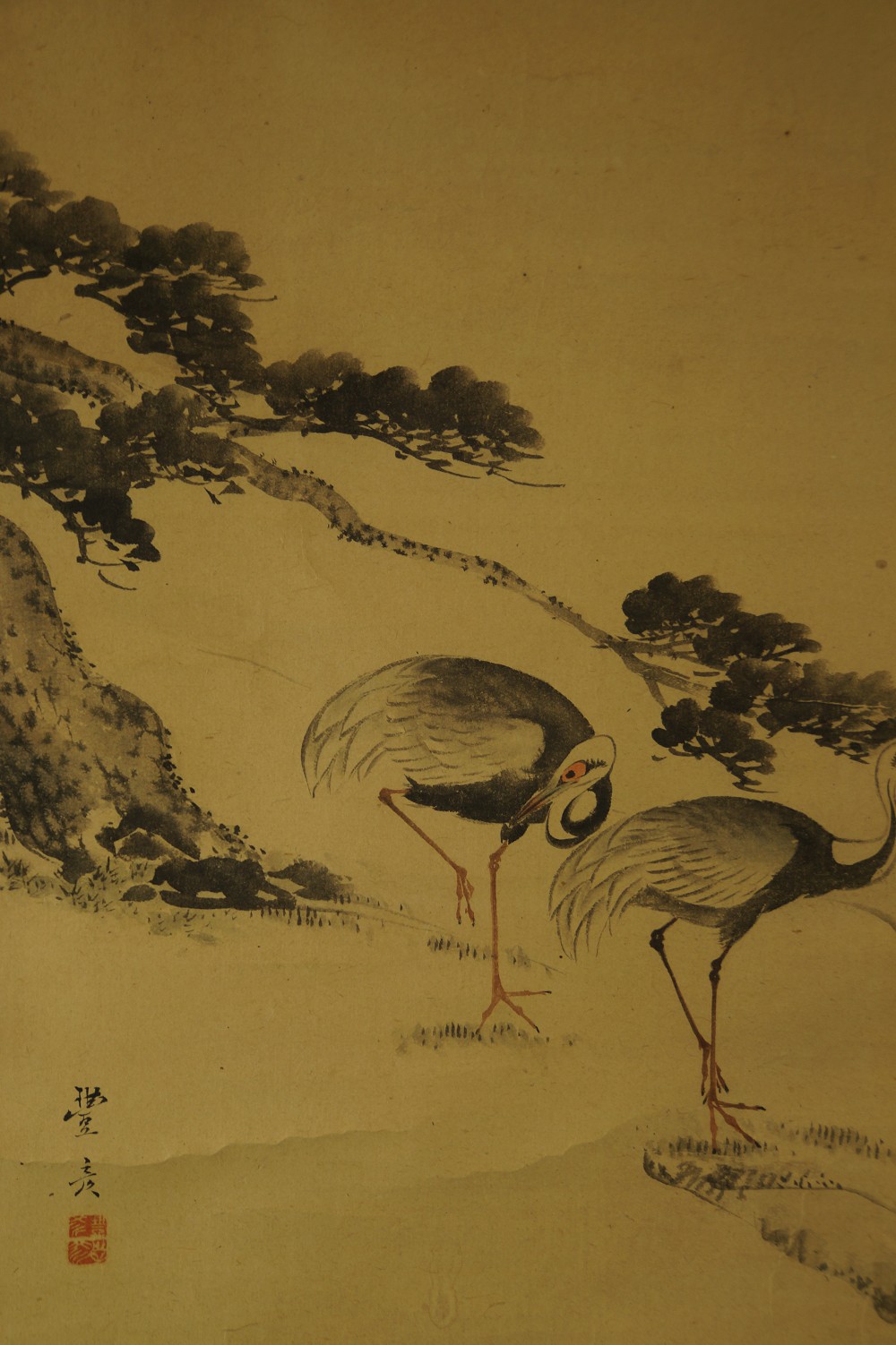 Close-up of the two cranes in quiet dialogue under the pine