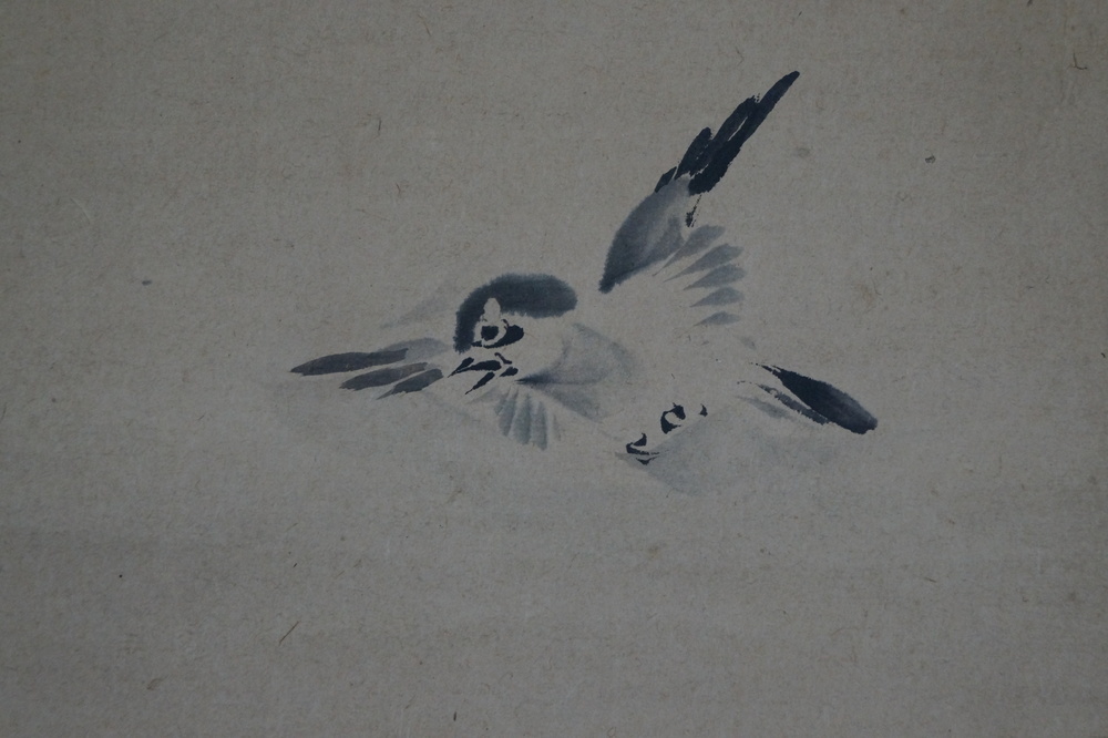 Vogel und Blume Rollbild Vogel-Motiv Nahaufnahme 3