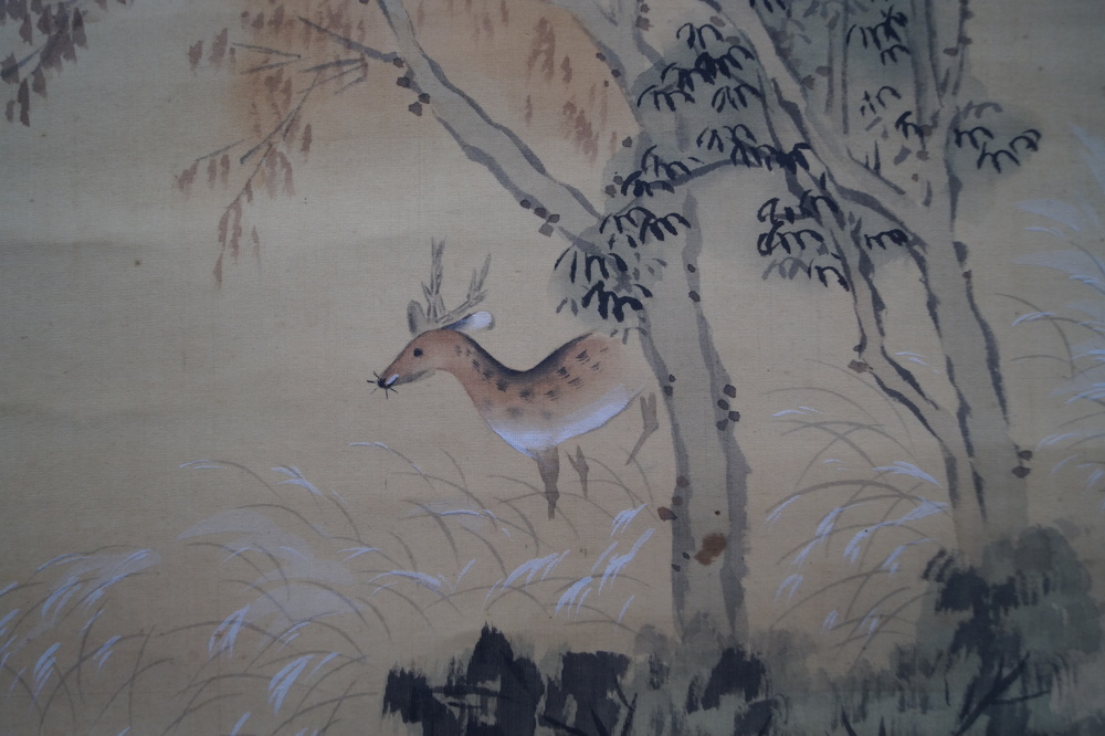 Makuri Small Deer Deer Close-Up 3