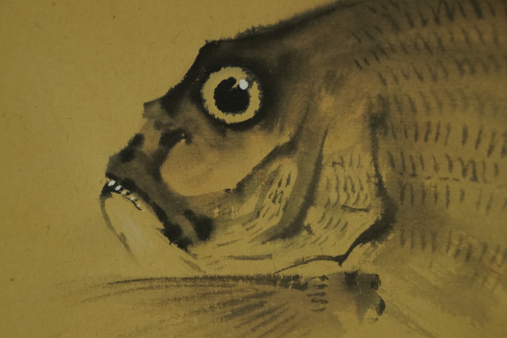 Red Sea Bream by Ichigaku Hatano Fish Motif Close-Up 2
