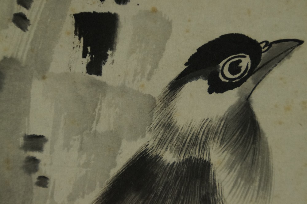 Extreme close-up of the head of one of the two birds