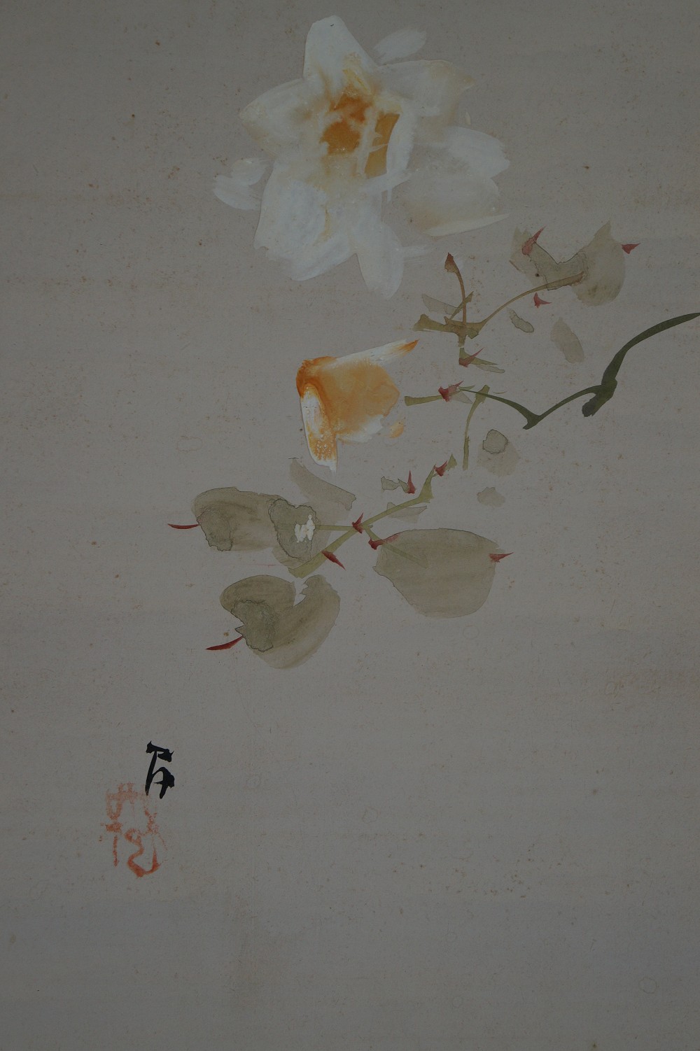 Kakemono Flower Flower Motif Close-Up