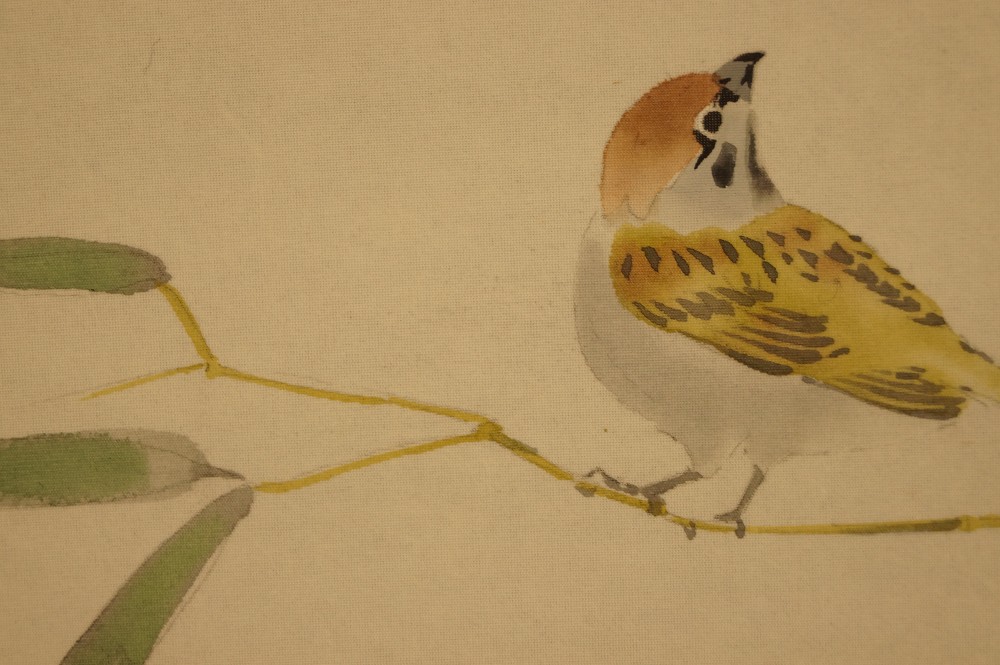 Sparrows on bamboo bush sparrow close-up 2