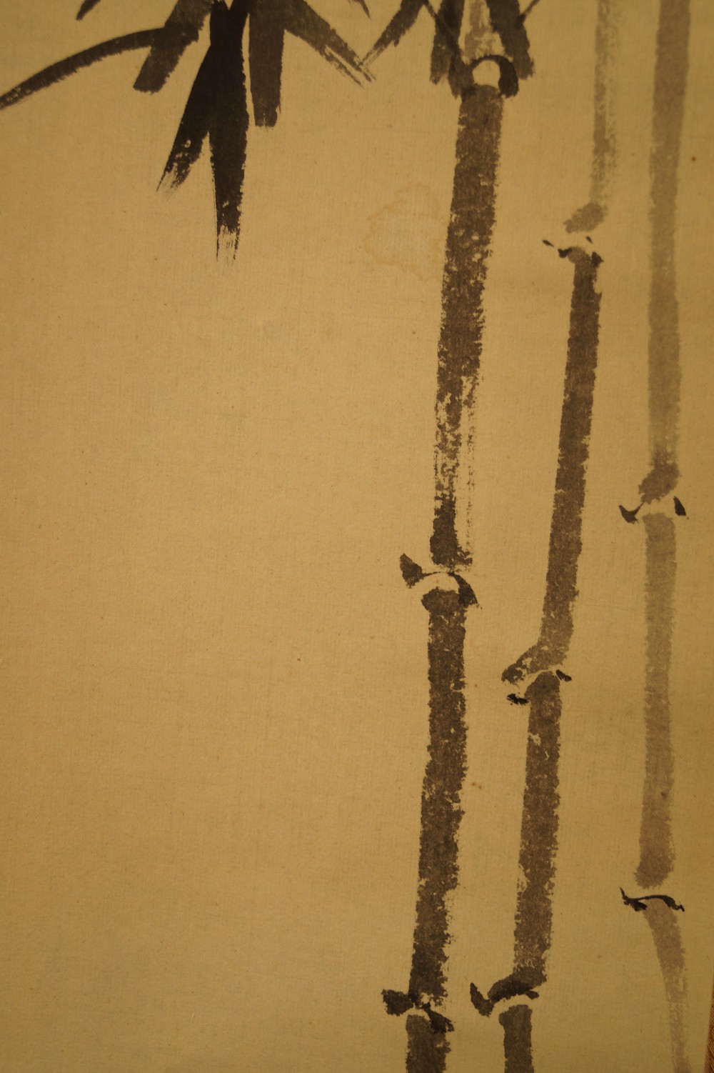 Bamboo Bamboo Close-Up 2