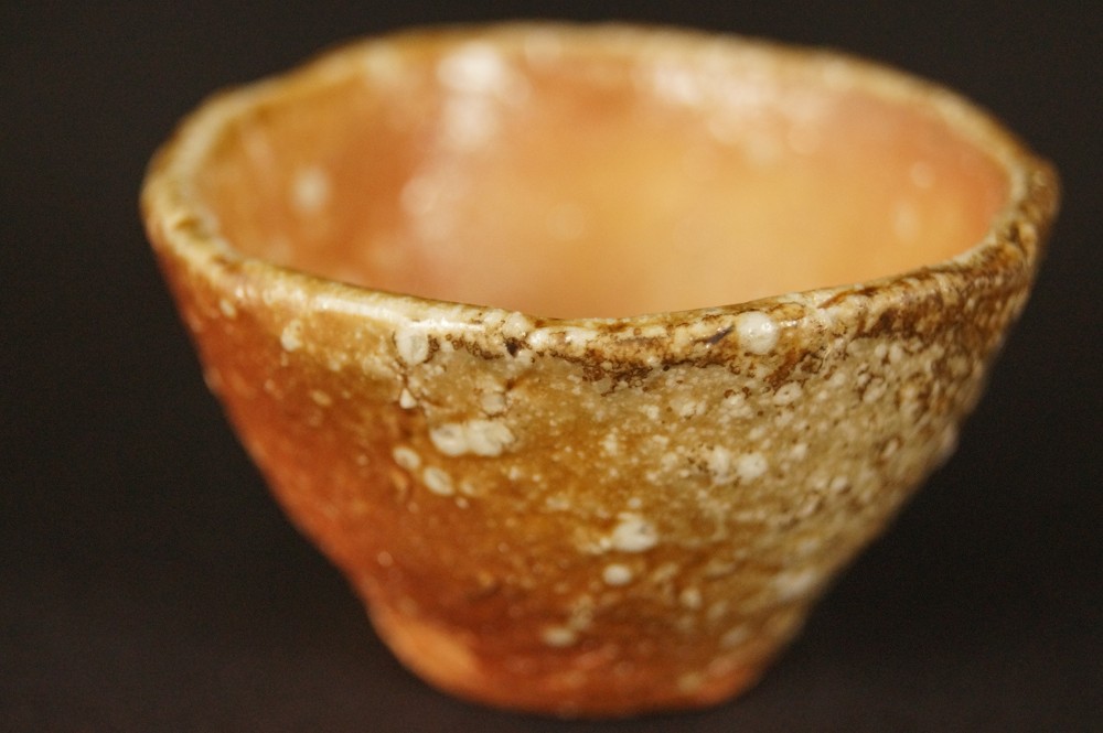 Shigaraki Guinomi Sake Cup Front View