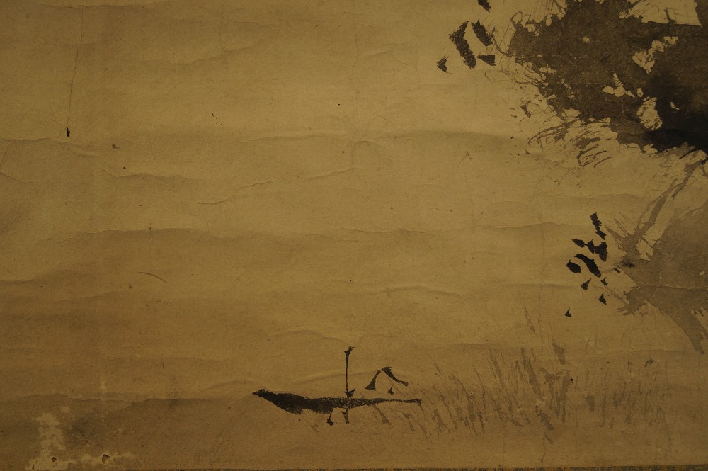Landschaft Landschaft Nahaufnahme 2