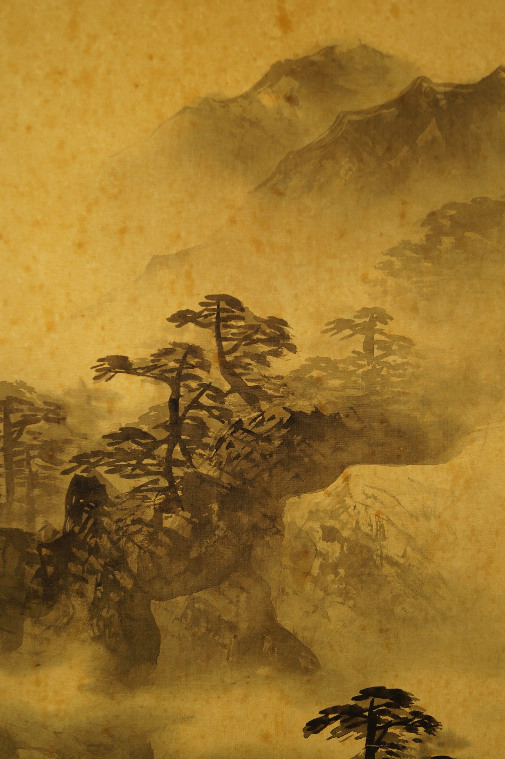 Landschafts Kakemono Landschaft Nahaufnahme 5