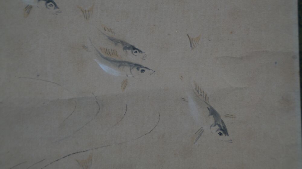 Weitere Nahaufnahme der ziehenden Fische im Kakemono Schwaerme im klaren Wasser