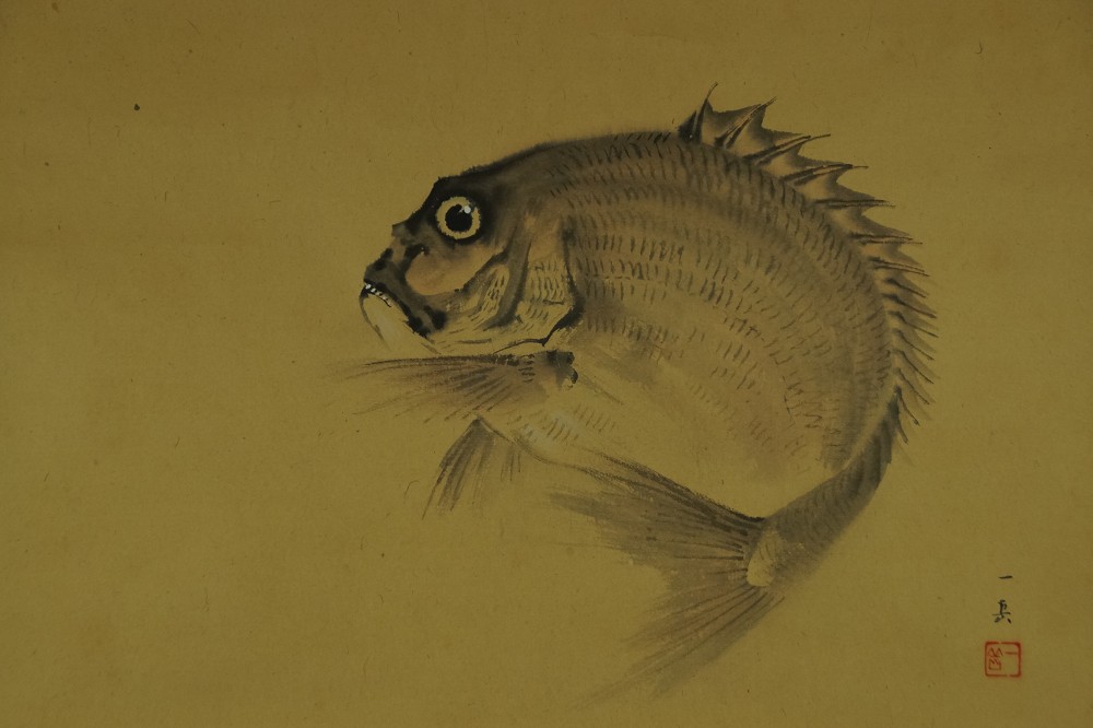Gilthead Bream by Ichigaku Hatano Full Motif Without Mounting