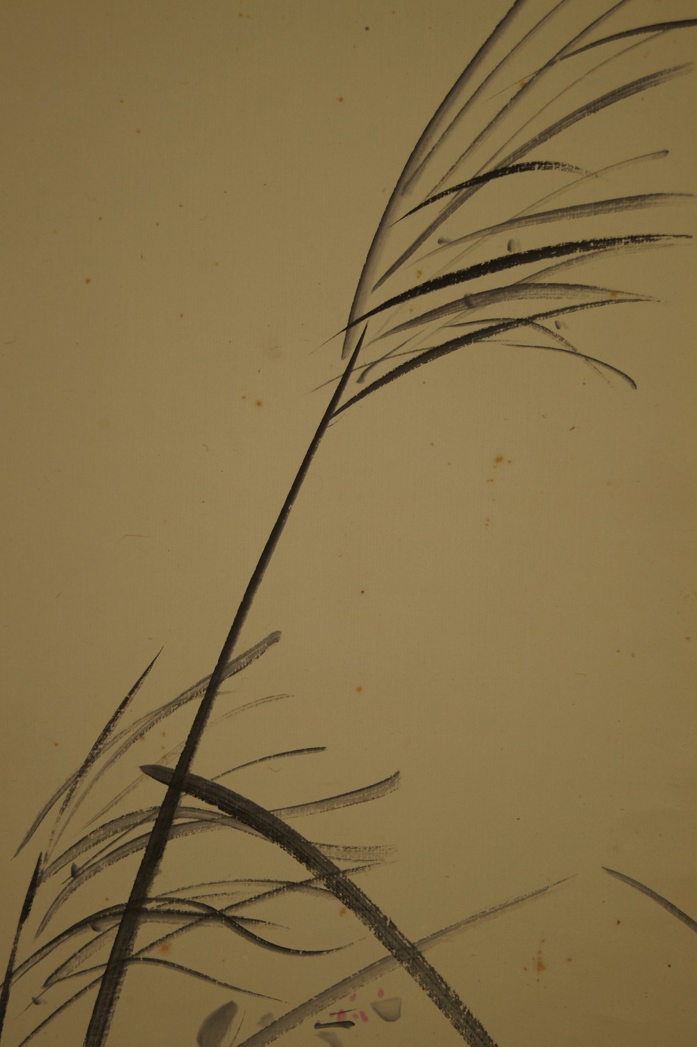 Grasses in Moonlight Grasses Close-Up 1