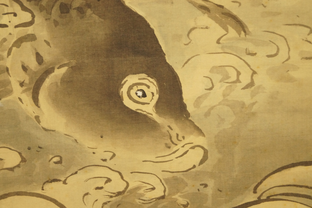 Kopf des Koi im Profil mit einzelnem Auge Koi-Motiv Nahaufnahme 4