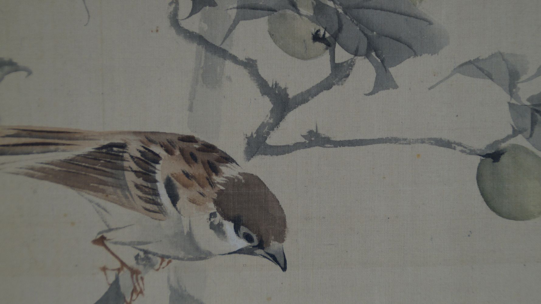 Additional Close-Up of a Sparrow Looking Down beside a Persimmon in the Kakemono Sparrows on a Fruit Tree