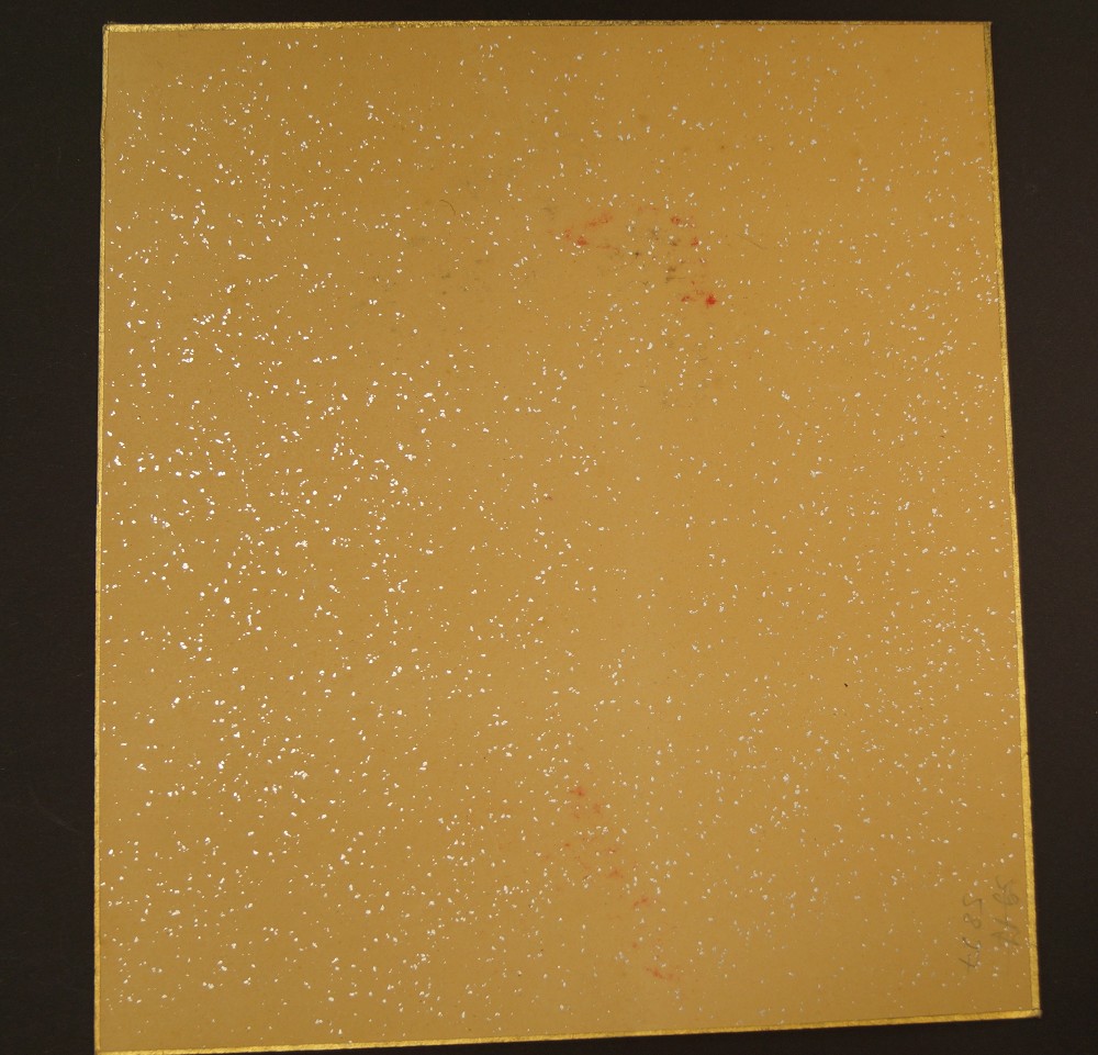 Shikishi Schoenheit im Kimono Rueckansicht