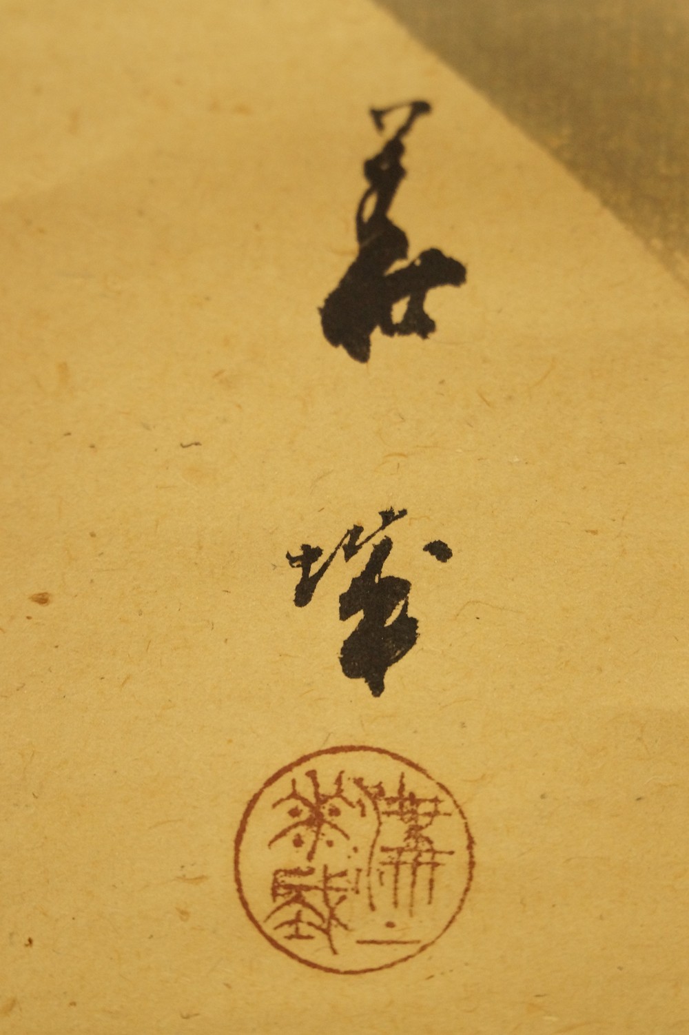 Sakura Signature Close-Up