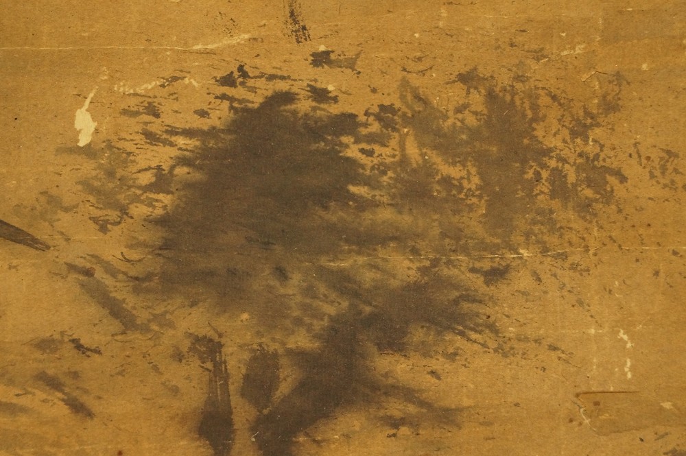 Baum und Ufervegetation Baum-Motiv Nahaufnahme