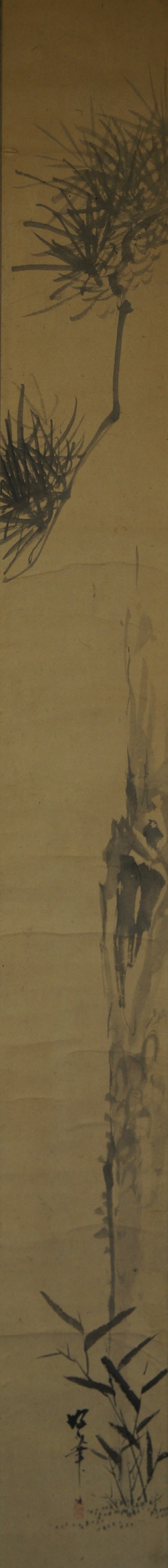Kakemono pine tree full motif without mounting