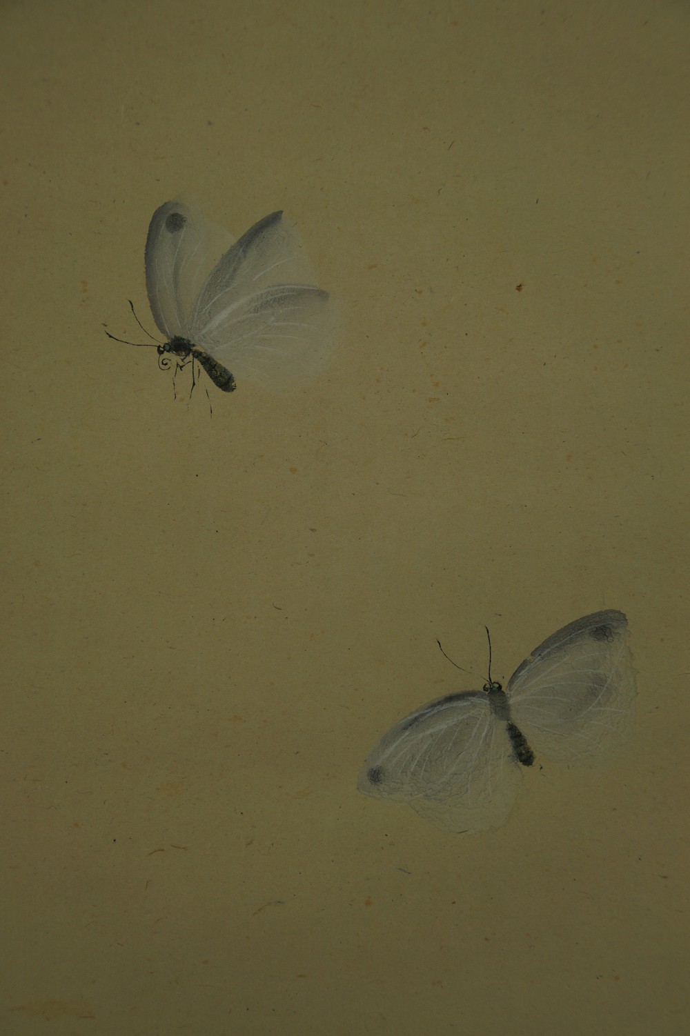 Two Butterflies by Gyokusha Haruki Motif Close-Up 2