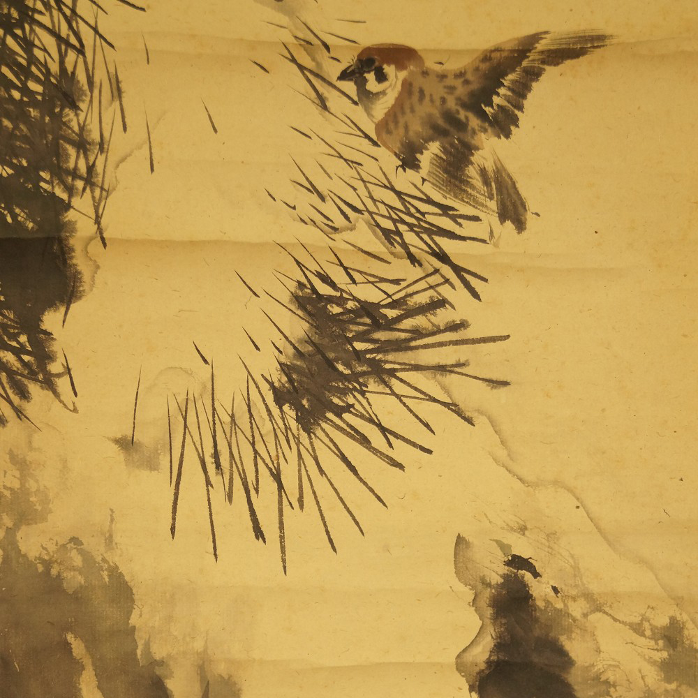 Sparrow on the pine motif close-up preview